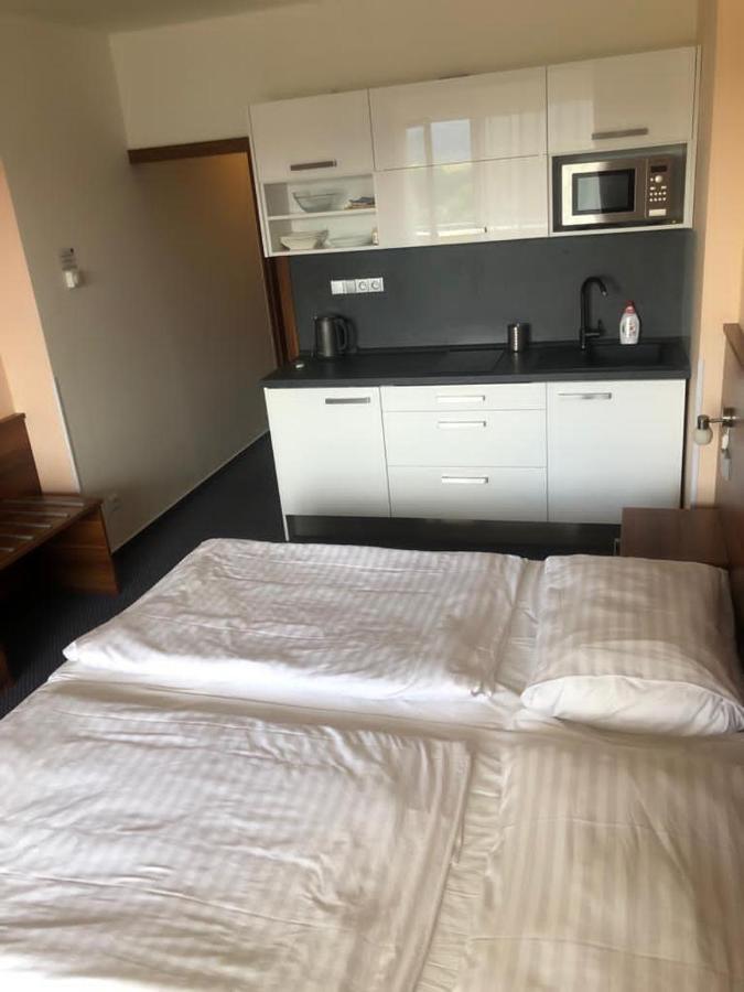 Apartmany Wellness Frymburk Exterior foto