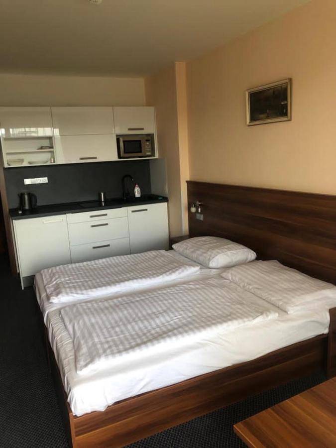 Apartmany Wellness Frymburk Exterior foto